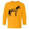  Heavy Cotton™ Long Sleeve T-Shirt (Youth) Thumbnail