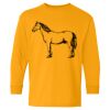 Heavy Cotton™ Long Sleeve T-Shirt (Youth) Thumbnail