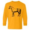  Heavy Cotton™ Long Sleeve T-Shirt (Youth) Thumbnail