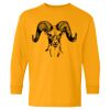  Heavy Cotton™ Long Sleeve T-Shirt (Youth) Thumbnail