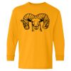 Heavy Cotton™ Long Sleeve T-Shirt (Youth) Thumbnail