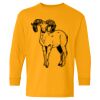  Heavy Cotton™ Long Sleeve T-Shirt (Youth) Thumbnail
