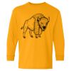  Heavy Cotton™ Long Sleeve T-Shirt (Youth) Thumbnail