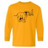  Heavy Cotton™ Long Sleeve T-Shirt (Youth) Thumbnail