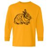  Heavy Cotton™ Long Sleeve T-Shirt (Youth) Thumbnail
