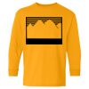  Heavy Cotton™ Long Sleeve T-Shirt (Youth) Thumbnail