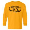  Heavy Cotton™ Long Sleeve T-Shirt (Youth) Thumbnail