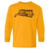  Heavy Cotton™ Long Sleeve T-Shirt (Youth) Thumbnail