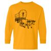  Heavy Cotton™ Long Sleeve T-Shirt (Youth) Thumbnail