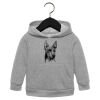 Toddler Sponge Fleece Pullover Hoodie Thumbnail