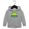 Toddler Sponge Fleece Pullover Hoodie Thumbnail