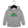 Toddler Sponge Fleece Pullover Hoodie Thumbnail