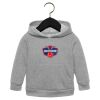 Toddler Sponge Fleece Pullover Hoodie Thumbnail