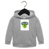 Toddler Sponge Fleece Pullover Hoodie Thumbnail