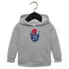 Toddler Sponge Fleece Pullover Hoodie Thumbnail