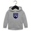 Toddler Sponge Fleece Pullover Hoodie Thumbnail