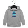 Toddler Sponge Fleece Pullover Hoodie Thumbnail