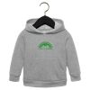 Toddler Sponge Fleece Pullover Hoodie Thumbnail
